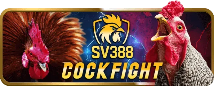 Hệ thống bảo mật SSL 128 bit của 33wim casino